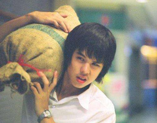 廣受好評的泰國電影排名,初戀這件小事、美麗拳王口碑都很好