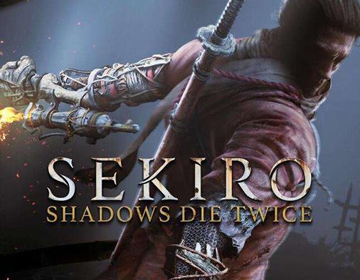 2019pc十大單機(jī)游戲排名,全面戰(zhàn)爭:三國、只狼:影逝二度很經(jīng)典