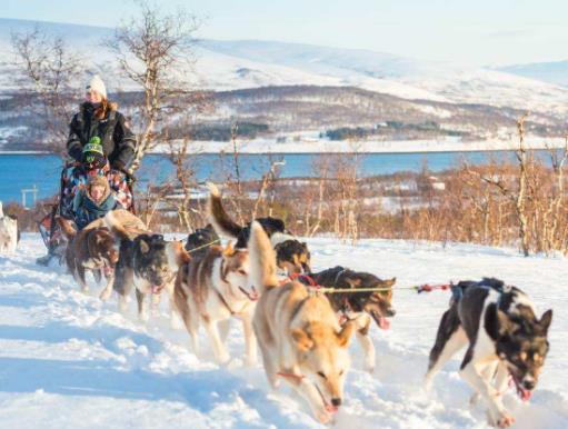 世界最刺激十大游戲排名,荒野生存、高山滑雪很吸引人