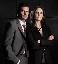 十大推理美劇排行榜,疑犯追蹤、識骨尋蹤很有意思