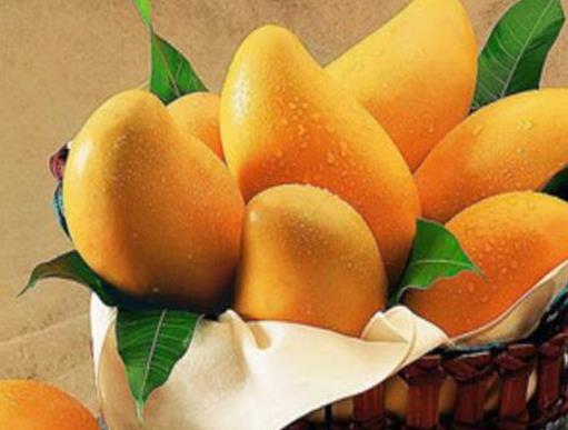 世界水果之王排名,獼猴桃、榴蓮營養價值都很高