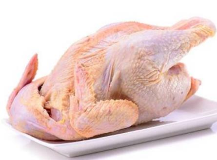 蛋白質含量高的十種食物排名,海參、螺旋藻蛋白質都很高