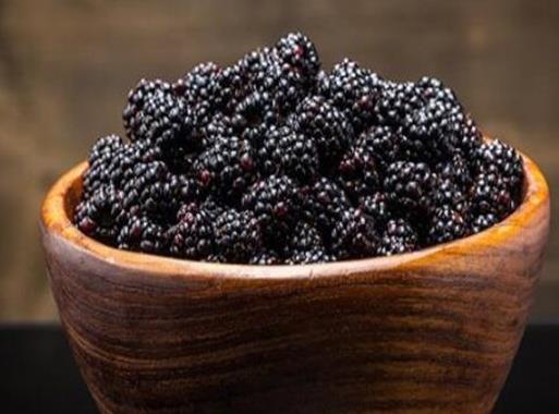 世界水果之王排名,獼猴桃、榴蓮營養價值都很高