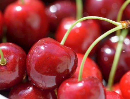 世界公認最健康的十大水果排名,蘋果、香蕉增強免疫力