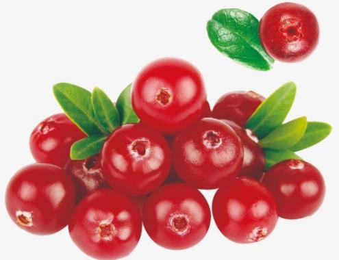 世界公認最健康的十大水果排名,蘋果、香蕉增強免疫力