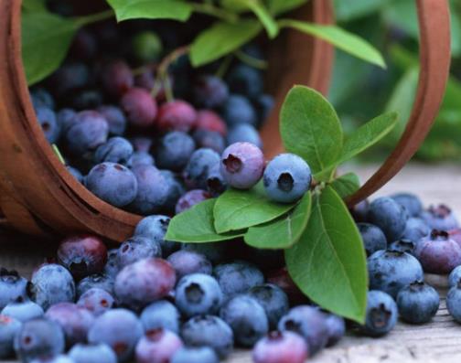 世界公認最健康的十大水果排名,蘋果、香蕉增強免疫力