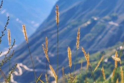 抖音十大網(wǎng)紅酒店排名,英德寶墩湖湖山溫泉度假村滿足你的需求