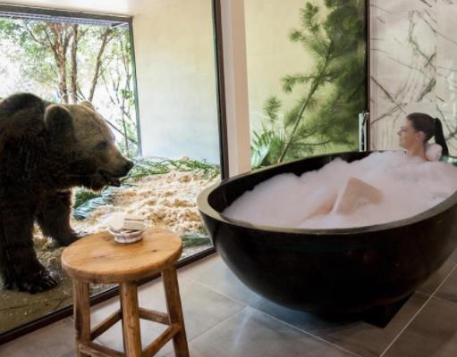 世界奇葩的十大酒店排名,秘魯懸崖酒店、威茅斯海灘酒店有特色