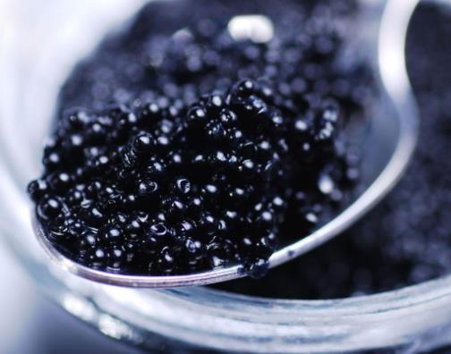 世界十大最貴的食物排名,神戶牛肉、鵝肝醬都很高級