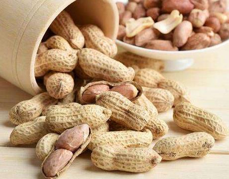 十大高蛋白食品排名,海參藥食同源營養價值高,補充蛋白質極佳