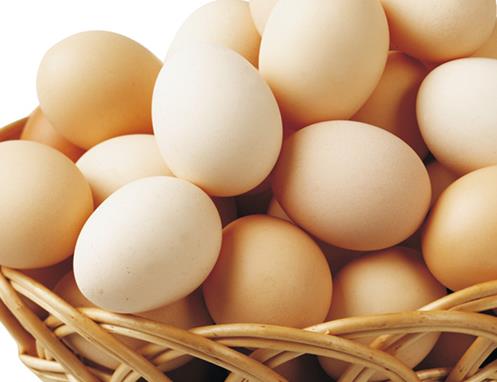 十大高蛋白食品排名,海參藥食同源營養價值高,補充蛋白質極佳