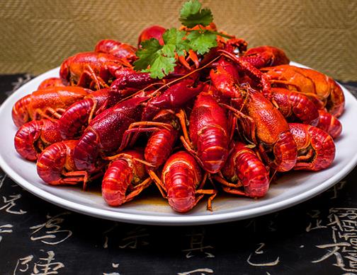 十大高蛋白食品排名,海參藥食同源營養價值高,補充蛋白質極佳