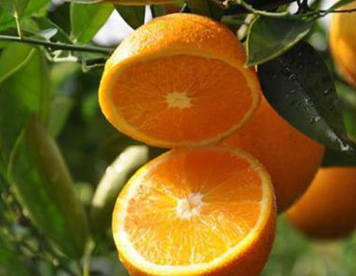 最受歡迎的江西十大小吃,廣昌白蓮營養豐富,豐城凍米糖過年才有