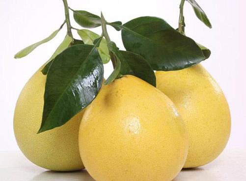 十大抗衰老水果排名,柚子有助新城代謝,櫻桃能美白