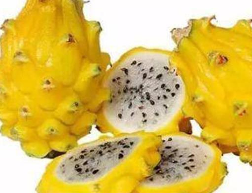 全球最貴十種水果,掛綠母樹荔枝價格不菲,黑皮西瓜一年只產100個