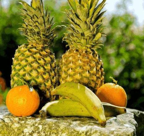 全球最貴十種水果,掛綠母樹荔枝價格不菲,黑皮西瓜一年只產100個