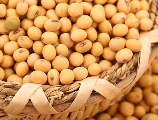 十大抗衰老食物排名,胡蘿卜、香菇都是女人美容必備品