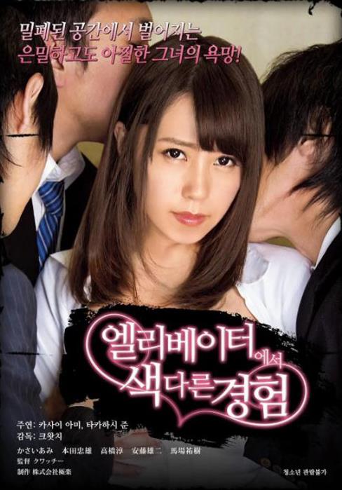 2019韓國三級電影排名,《謊言:女模特之性》是老司機福利