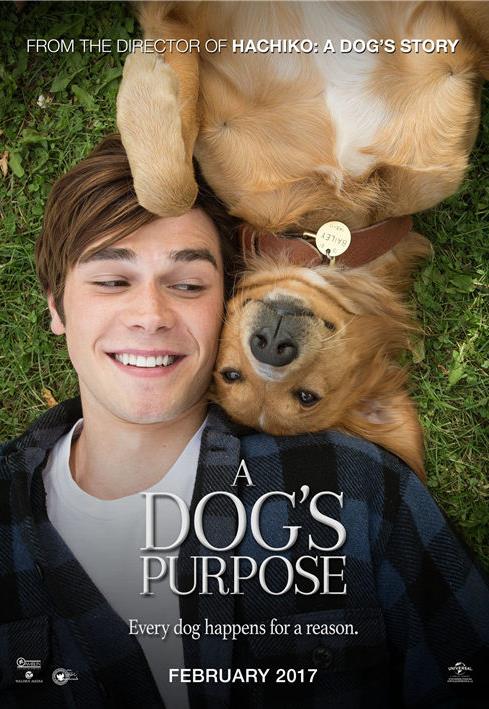 2019十大感人狗狗電影,忠犬八公的故事令人落淚,叢林赤子心很經典