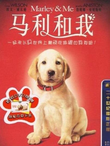 2019十大感人狗狗電影,忠犬八公的故事令人落淚,叢林赤子心很經典