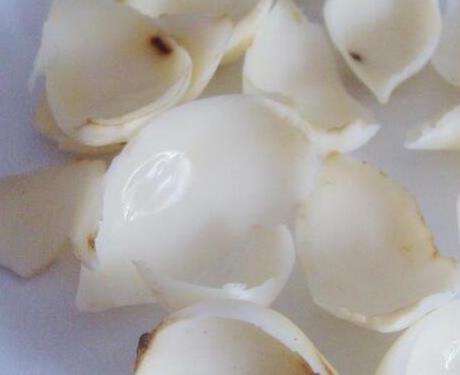 最適合女人吃十大補品,阿膠富含豐富營養,雪蛤補充雌性激素