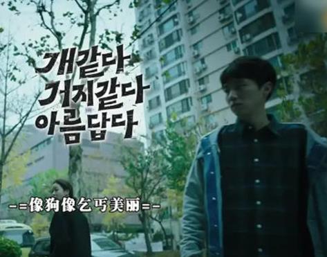 2019韓國高分電影排名,《寄生蟲》豆瓣評分8.7,《小委托人》感人