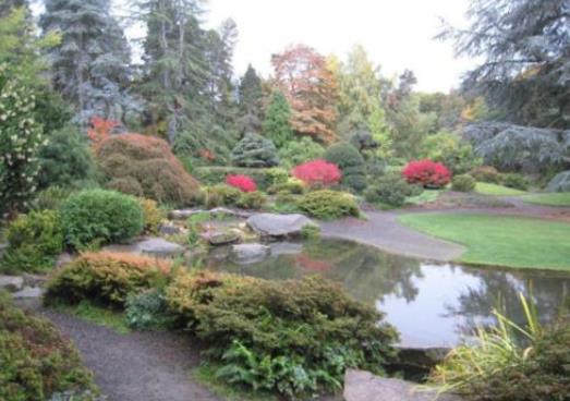 西雅圖十大旅游景點排名,太空針塔能欣賞到西雅圖壯麗的全景