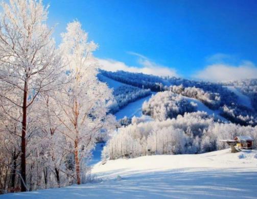 中國十大滑雪勝地排名,哈爾濱亞布力國際滑雪場的高山斜坡是亞洲最長