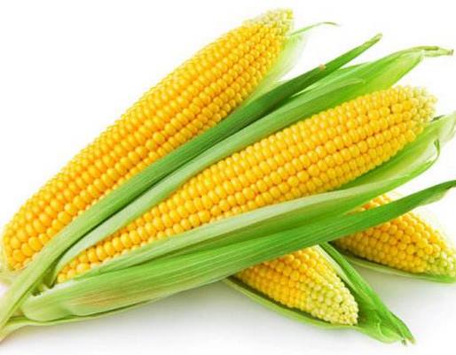 十大活血化瘀的食物排名,紅花能疏通經絡,當歸緩解月經不調