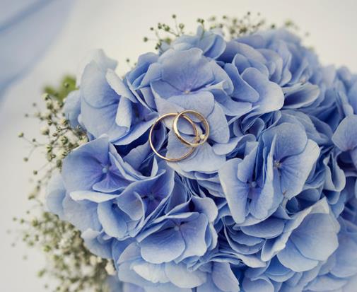 十大婚禮用花排名,玫瑰是愛的橋梁,郁金香花語是“強烈的愛”