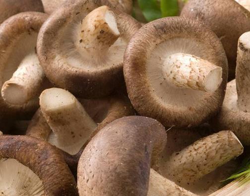 十大最美味的蘑菇排行榜,白蘑菇食用最多,牛肝菌營養豐富