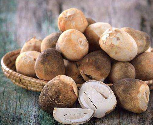 十大最美味的蘑菇排行榜,白蘑菇食用最多,牛肝菌營養豐富