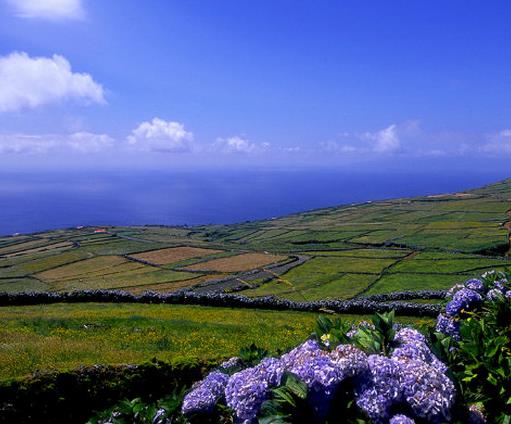 世界十大最貴私人島嶼,夏威夷拉奈島價值6億美元,里斯本島很豪華+