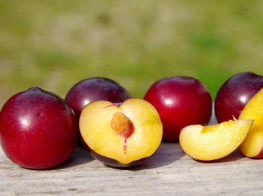 生理期忌口的十種食物排名,柿子經期延長,螃蟹屬于寒性食物