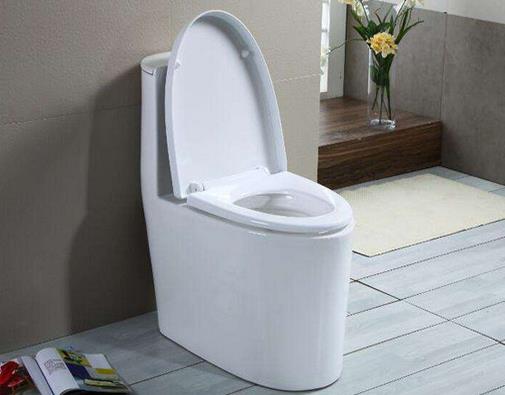 2020十大受歡迎馬桶品牌,朝陽馬桶、杜菲尼馬桶很不錯