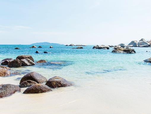 廣東春節(jié)旅游十大好玩景點,巽寮灣、觀音山森林公園輕松度假