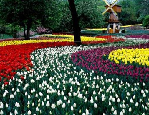 沈陽十大人少好玩的景點,沈陽國家森林公園、沈陽故宮值得一去