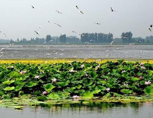 沈陽十大人少好玩的景點,沈陽國家森林公園、沈陽故宮值得一去
