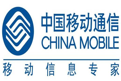 中國五大巨頭公司排名,中國石油化工集團(tuán)有限公司實(shí)力超群