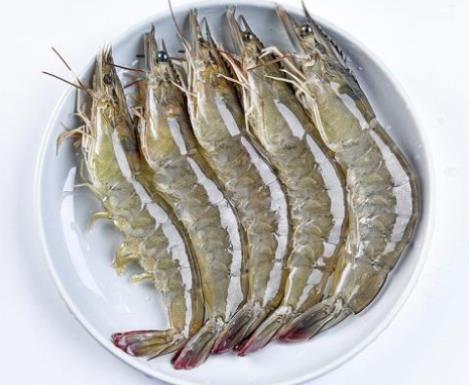 最適合孩子吃的海鮮,龍利魚有助視力健康、白對蝦促進發育