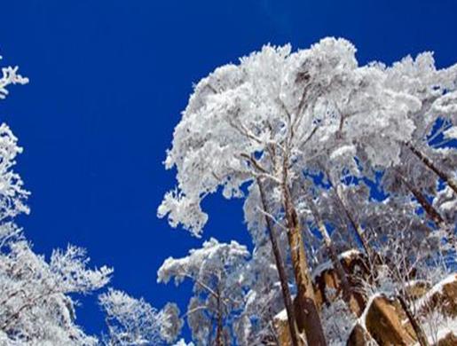 國(guó)內(nèi)冬天適合度假的八個(gè)地方,哈爾濱是冰雪之城,北京歷史悠久有魅力
