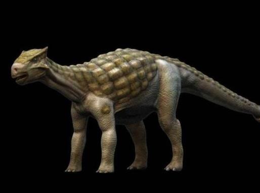 世界十大最著名恐龍排名,中華鳥龍全身顏色最多、滑齒龍生活在海洋里