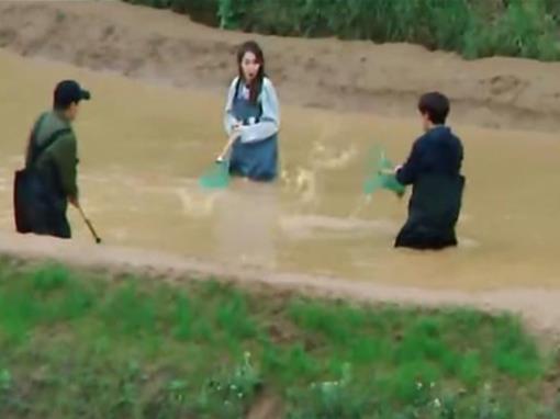 收視率前十的綜藝節目排名,非誠勿擾、快樂大本營名氣都很大