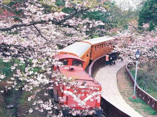 臺灣十大旅游景點排名,日月潭、臺北故宮博物院景觀獨一無二