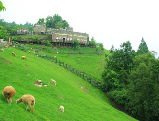 臺灣十大旅游景點排名,日月潭、臺北故宮博物院景觀獨一無二