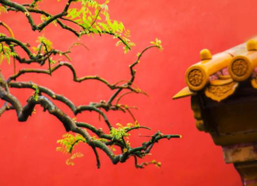 �����u��9.0���Ϲ���С�f�����m���������L���{��ֵ��һ��