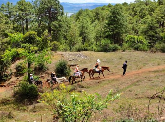 麗江九大風景區排行榜,麗江古城、玉龍雪山國家級風景名勝區深受歡迎