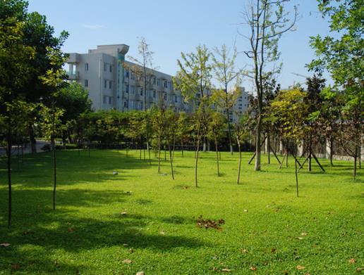 蘭州十大公園排行榜,白塔山公園、銀灘濕地公園環境優雅