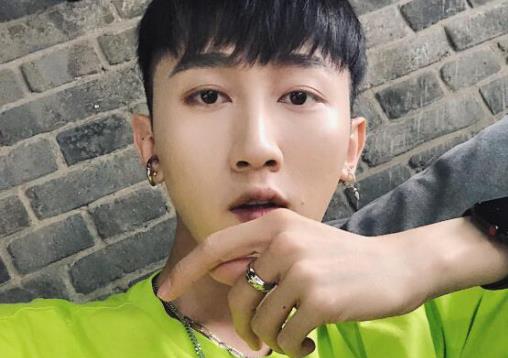 小紅書十大博主排名,尿尿是只貓有靈性、駱王宇是良心博主