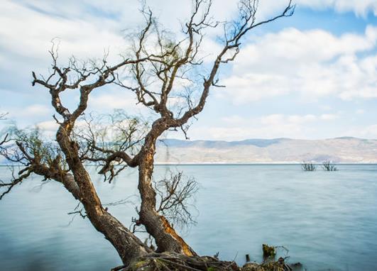 2021年十大適合一個人散心的地方,麗江、滬沽湖讓你享受自然的洗禮